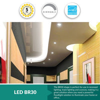 BR30 LED daylight 9 Watt Dimmable (65W Replacement) BR30 Light Bulb, 5000K ,700 Lumens, 120 Volt
