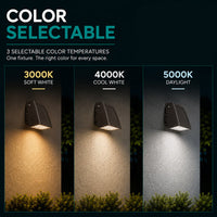 LED Adjustable Cutoff Wall Pack - Watt Selectable 40W/30W/25W/18W Max 6000 Lumens - Color Selectable 30K/40K/50K - 120-277V - Bronze Finish