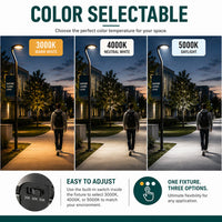 LED Round Area Flood Lights - Modern Commercial Grade Pole and Wall Lights - Different Wattages and Mounting Options Available
