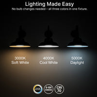LED Outdoor Gooseneck Wall Lights - Large 40 Watts - 4800 Lumens - Color Selectable 30K/40K/50K - 120-277V - Integrated Photocell - Black Finish