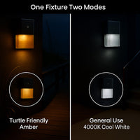 LED Turtle Friendly Wallpack - Color Selectable 4000K Cool White or Amber - 20 Watt - 120-277V - Black Finish - Integrated Photocell - TURTLE SAFE
