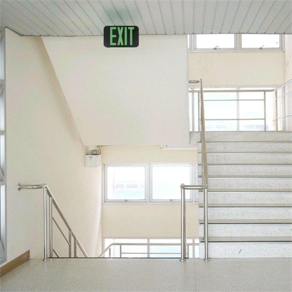 Thermoplastic LED Exit, Red/Green Switchable, Black, Emergency,