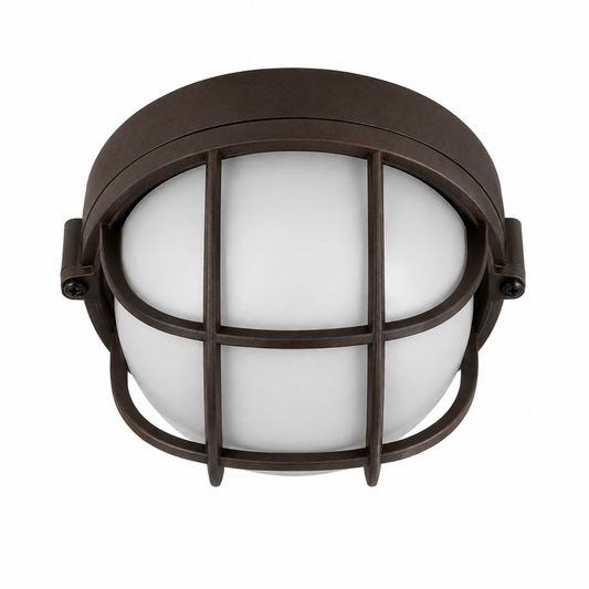 Hubbell Outdoor Lighting BRI-01 100W Euroluxe Wall or Ceiling Mount Decorative Round Incandescent Wallpack, Bronze