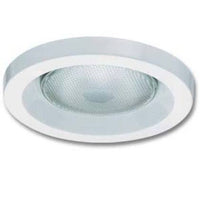 6IN White PAR30, wet Location Trim, Torsion Spring - 6H2O TOR R6
