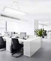 LED Suspended Panel Lights - Modern Hanging Light Fixture - Color Temperature Selectable