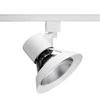 Trac-Lites Flared Gimbal PAR30, White