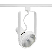 Trac-Lites Open Back SpotLight PAR38, White