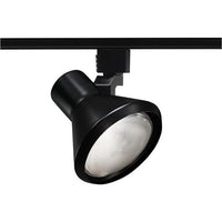 Trac-Lites Flared Step PAR38, Black