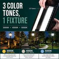 LED Decorative Post Light - 30 Watt - 3600 Lumens - Color Selectable 30K/40K/50K - 120-277V - Black - Fits Up to 3 Inch Pole Top