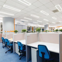 Lay-In LED Frame, 1Ft X 4FT Switchable Lumens 3000Lm, 4000Lm, And 5000Lm, Switchable Cct 3500K, 4000K, And 5000K, Mvolt, 120V-277V,