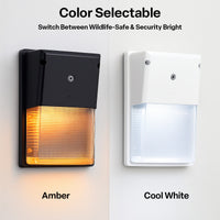 Turtle Friendly LED Rectangle Wall Packs - Economical Outdoor Wall Lights With Photocell - Choose Your Finish