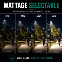 LED Round Area Flood Lights - Modern Commercial Grade Pole and Wall Lights - Different Wattages and Mounting Options Available