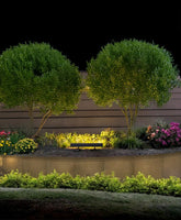LED Sign Light - 2 Foot - 50 Watts - 5000K Daylight  - 120-277V - Black Finish
