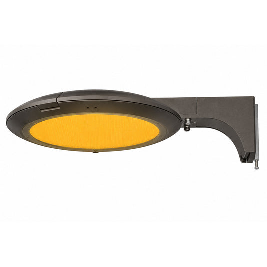 Turtle friendly amber LED area light, pole mount, dark bronze, coastal roadway lighting, downward illumination.