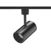 Trac-Lites 10W LED, 3000K, 90 CRI, Phase Dimmable, Flood, Black