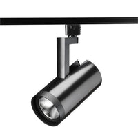 Trac-Lites 22W LED, 2700K, 90 CRI, Phase Dimmable, Wide Flood, Black