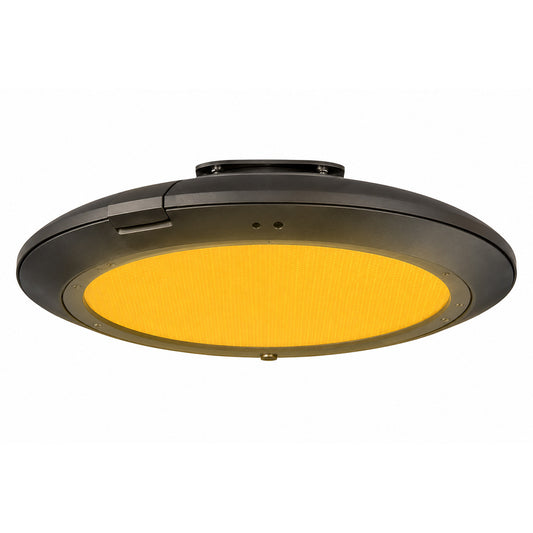 Amber LED area light, turtle friendly, surface mount, dark bronze finish, outdoor coastal lighting.