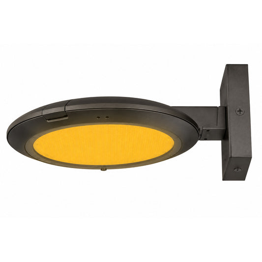 Turtle friendly amber LED area light, wall mount, dark bronze, coastal outdoor lighting, downward illumination.