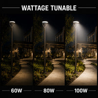 LED Adjustable Swivel Post Light - 100/80/60 Watt - Up 12000 Lumens - Color Selectable 30K/40K/50K - 120-277V - Dark Bronze - Fits Up to 2.5 Inch Pole Top