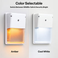 LED Turtle Friendly Wallpack - 20 Watt - Color Selectable 4000K Cool White or Amber - 120-277V - White Finish - Integrated Photocell - TURTLE SAFE