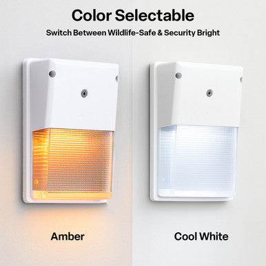 LED Turtle Friendly Wallpack - 20 Watt - Color Selectable 4000K Cool White or Amber - 120-277V - White Finish - Integrated Photocell - TURTLE SAFE