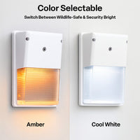 LED Turtle Friendly Wallpack - 20 Watt - Color Selectable 4000K Cool White or Amber - 120-277V - White Finish - Integrated Photocell - TURTLE SAFE